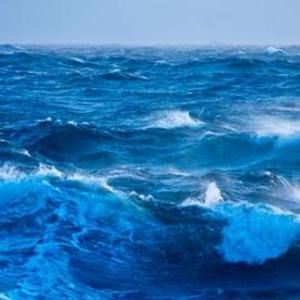 Meet your Posher, Cooper